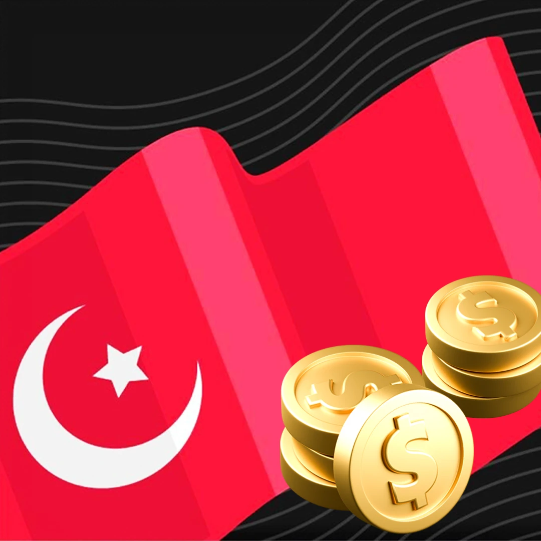 کسب در آمد از طریق زبان ترکی